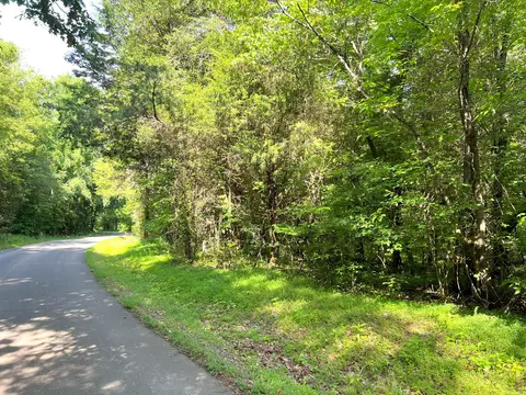 lot1027 Mountain View Ln, White Pine, TN 37890