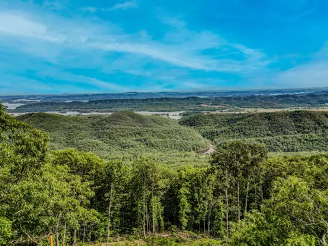 1210 Lookout Mountain Road Rd, Bean Station, TN 37708