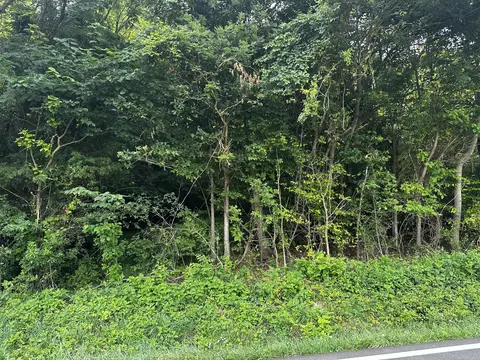 Tract 3 Tn-113, White Pine, TN 37890
