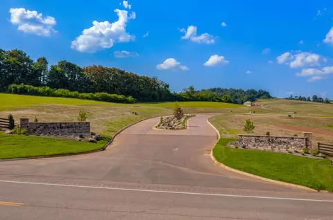lot43 Pine Meadows Dr, White Pine, TN 37890