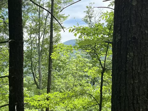 0 Gulf Rd, Hartford, TN 37753