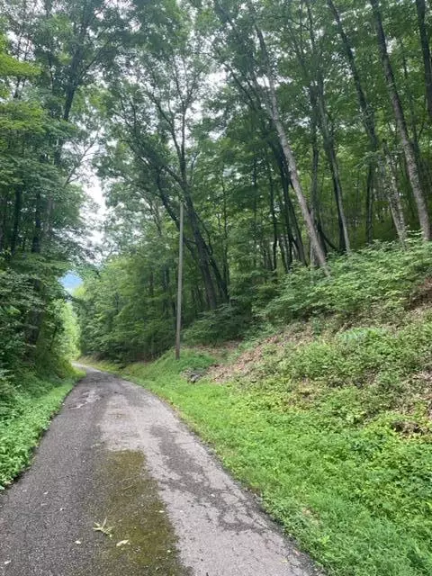 0 Wolfe Rd, Bean Station, TN 37708