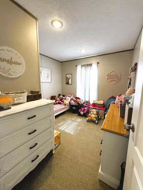 5828 Buell St, Talbott, TN 37877 photo 8