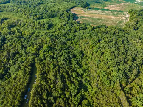 855 Blue Spring Rd, Mohawk, TN 37810 photo 37
