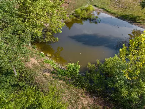 855 Blue Spring Rd, Mohawk, TN 37810 photo 33