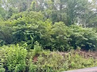 0 Mcgaha Chapel Rd, Cosby, TN 37722