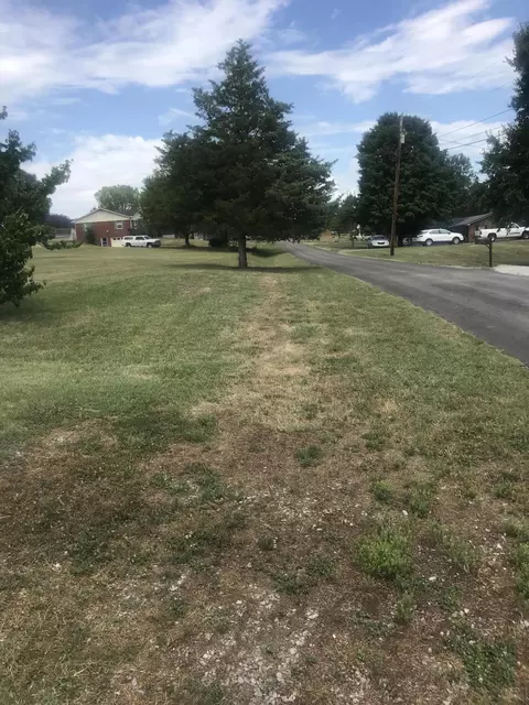 310 Hickory Street St, Bean Station, TN 37708 photo 8