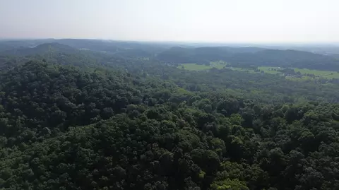 1920 Pleasant Ridge School Rd, Talbott, TN 37877 photo 44