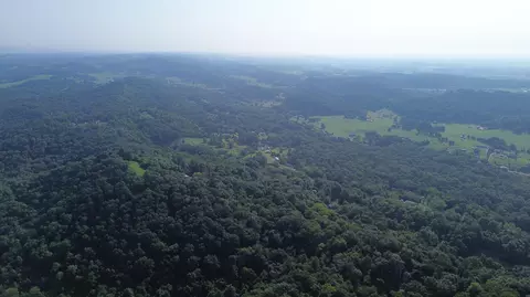 1920 Pleasant Ridge School Rd, Talbott, TN 37877 photo 50