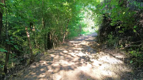 1920 Pleasant Ridge School Rd, Talbott, TN 37877 photo 61