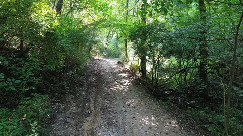 1920 Pleasant Ridge School Rd, Talbott, TN 37877 photo 63