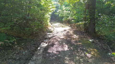 1920 Pleasant Ridge School Rd, Talbott, TN 37877 photo 60