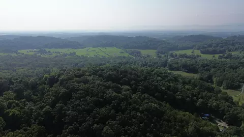 1920 Pleasant Ridge School Rd, Talbott, TN 37877 photo 43