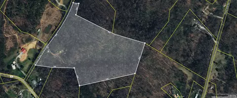 1920 Pleasant Ridge School Rd, Talbott, TN 37877 photo 71