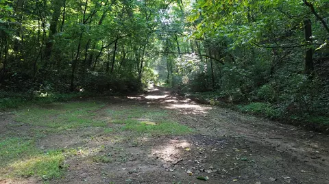 1920 Pleasant Ridge School Rd, Talbott, TN 37877 photo 66