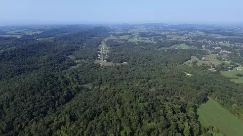 1920 Pleasant Ridge School Rd, Talbott, TN 37877 photo 53