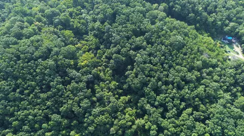 1920 Pleasant Ridge School Rd, Talbott, TN 37877 photo 55