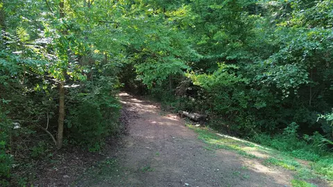 1920 Pleasant Ridge School Rd, Talbott, TN 37877 photo 58