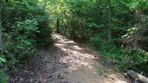 1920 Pleasant Ridge School Rd, Talbott, TN 37877 photo 59