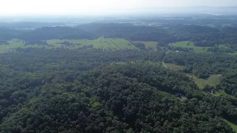1920 Pleasant Ridge School Rd, Talbott, TN 37877 photo 57