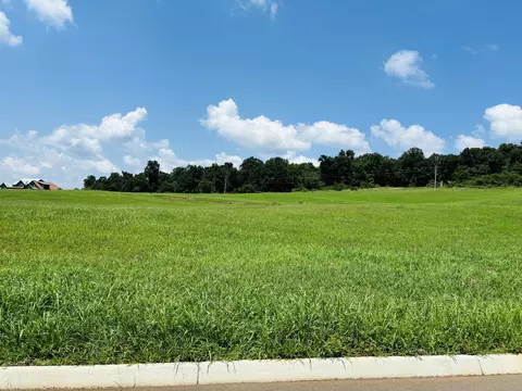 lot79 Meadow Vista Way, White Pine, TN 37890