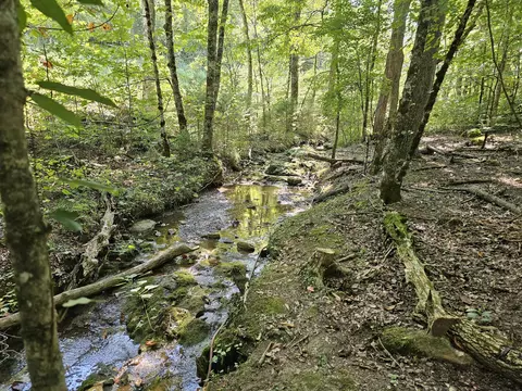 1656 Ponderosa Rd, Del Rio, TN 37727