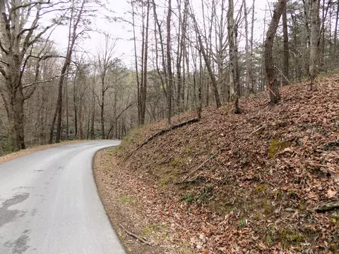 Multi Par Deerfoot Road, Cosby, TN 37722