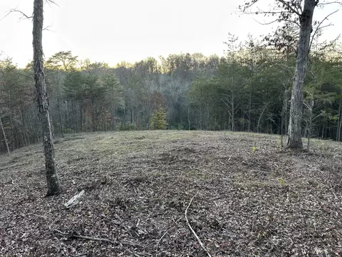 lot1 Dandelion Dr, Newport, TN 37821