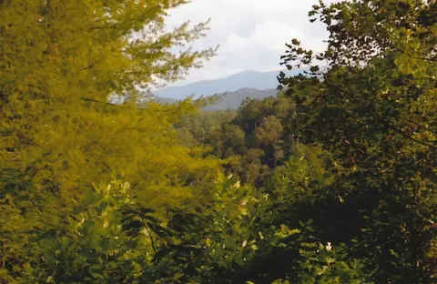 1796 Daxa Way, Sevierville, TN 37876