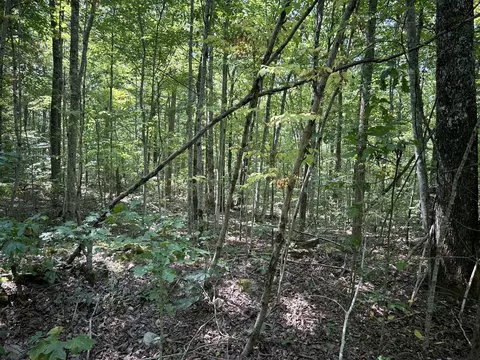 1882 Trail Way, Newport, TN 37821