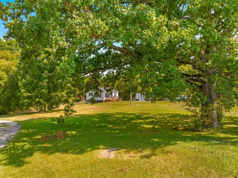 626 N White Pine Rd, Talbott, TN 37877 photo 27