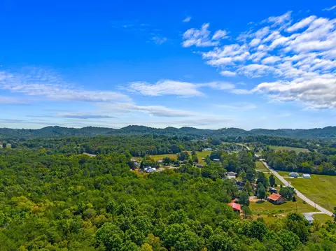 626 N White Pine Rd, Talbott, TN 37877 photo 24