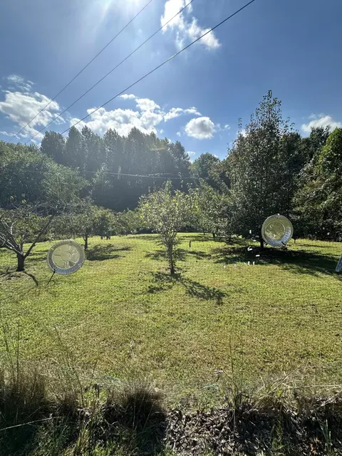 752 Copper Ridge Rd, Eidson, TN 37731 photo 45