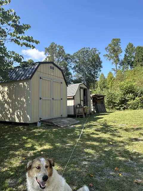 752 Copper Ridge Rd, Eidson, TN 37731 photo 40