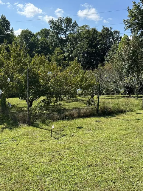 752 Copper Ridge Rd, Eidson, TN 37731 photo 9