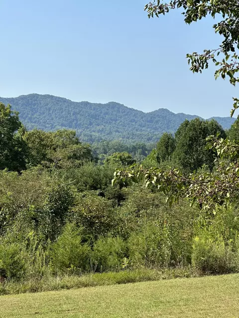 752 Copper Ridge Rd, Eidson, TN 37731 photo 19
