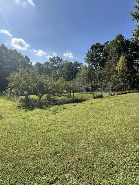 752 Copper Ridge Rd, Eidson, TN 37731 photo 11