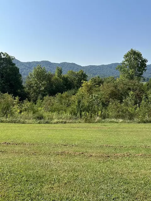 752 Copper Ridge Rd, Eidson, TN 37731 photo 10