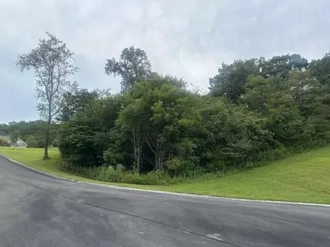lot203 R Harbor Pt, Mooresburg, TN 37811