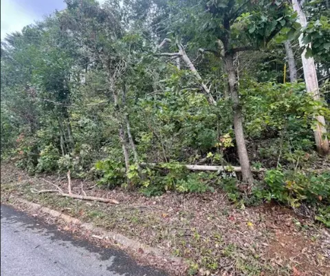 308 Hayter Dr, Morristown, TN 37813