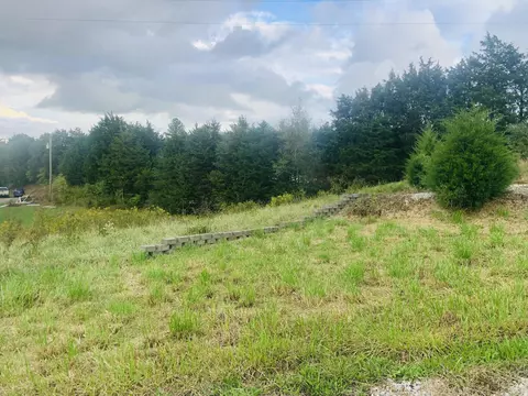 129 Dorothy Dr, Talbott, TN 37877 photo 39