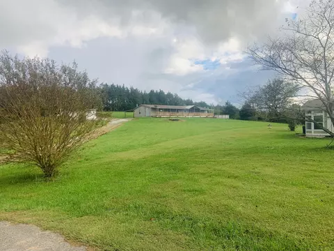 129 Dorothy Dr, Talbott, TN 37877 photo 40