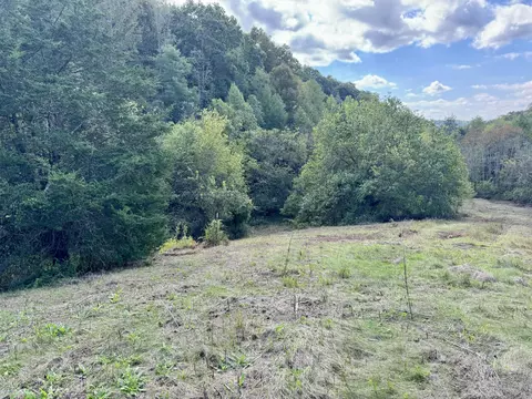 1098 Rhodes Road Rd, Bybee, TN 37713
