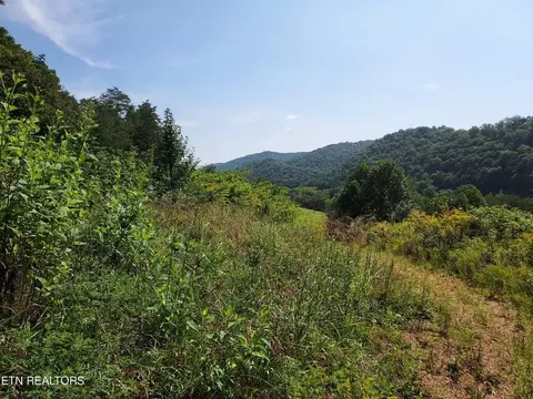 tbd Main 27ac St, Sneedville, TN 37869