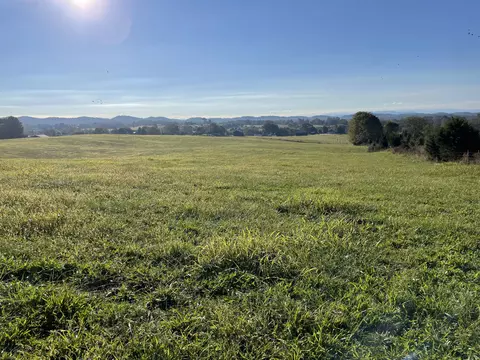 Tract 2 Hunter Rd, Talbott, TN 37877 photo 3