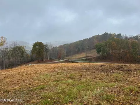 tbd Drinnon Hollow Rd, Sneedville, TN 37869