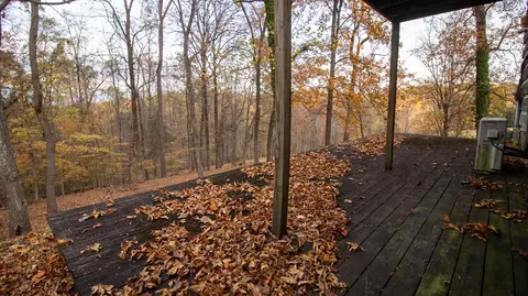 Other - 1154 Lakeshore Rd, Talbott, TN 37877 photo 22 of 23