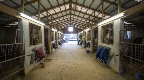 Entry Way - 1154 Lakeshore Rd, Talbott, TN 37877 photo 1 of 2