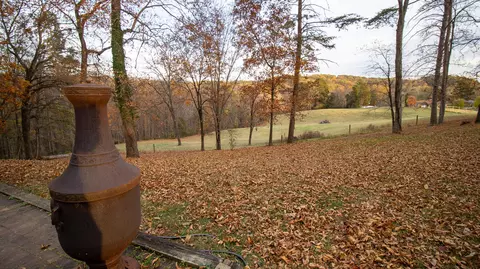 Exterior - 1154 Lakeshore Rd, Talbott, TN 37877 photo 20 of 22