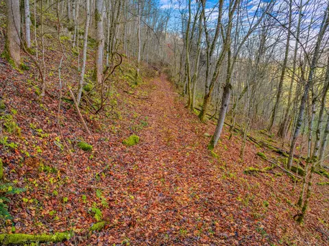 000 Horton Ford Rd, Eidson, TN 37731 photo 17